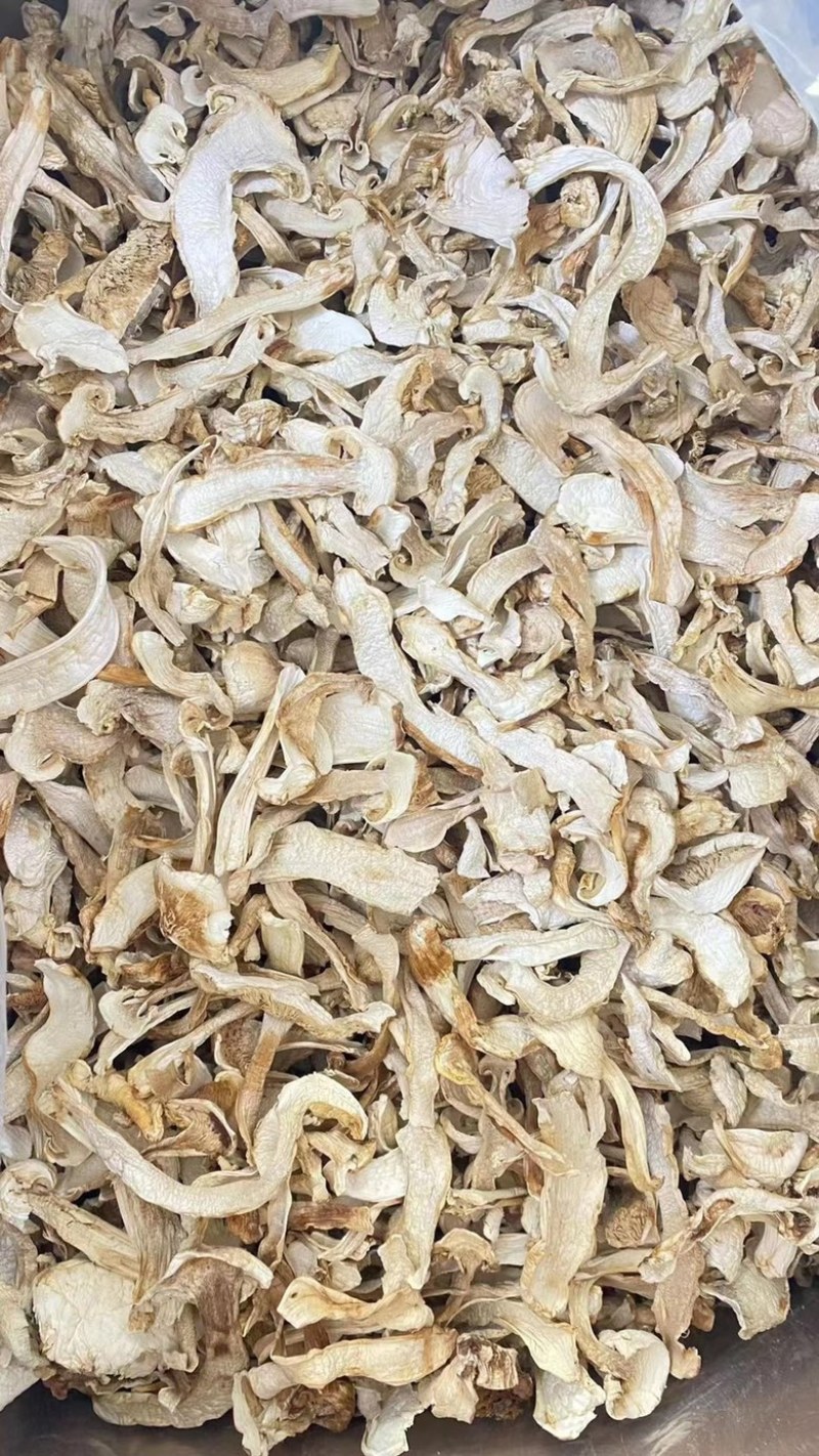 长白山野生松茸片松茸干片产地源头批发供应