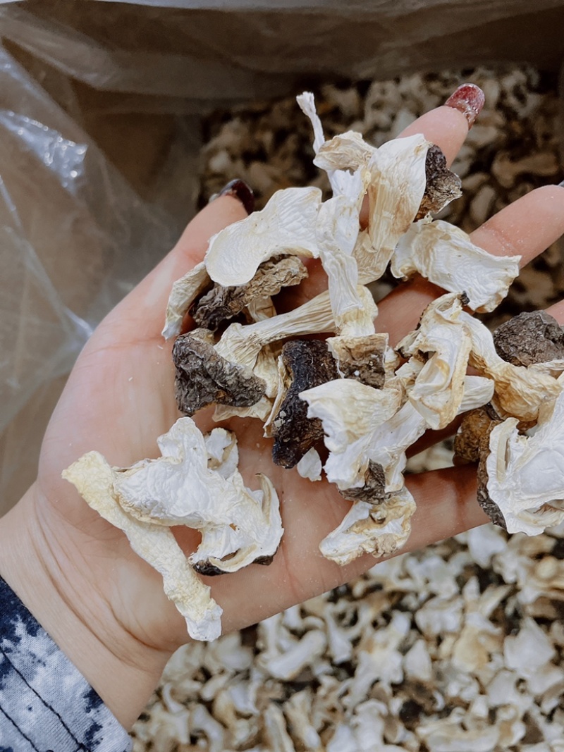 长白山野生松茸片松茸干片产地源头批发供应