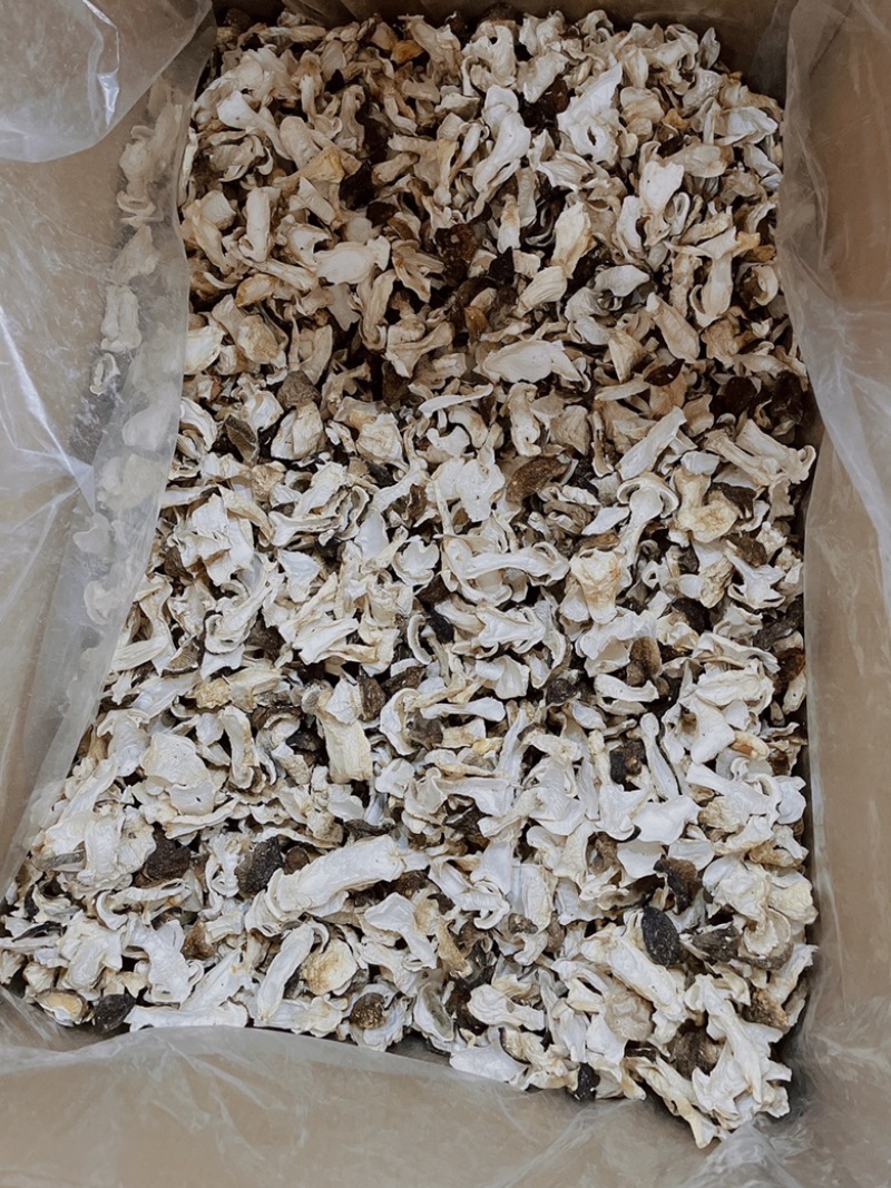 长白山野生松茸片松茸干片产地源头批发供应