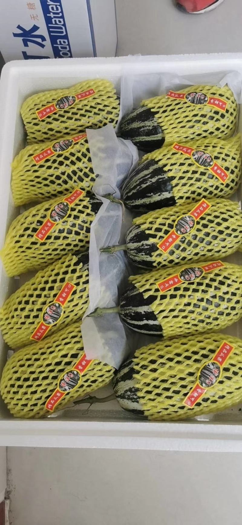 【牛商推荐】精品博洋甜瓜，博洋9甜瓜大量上市中，品质保证