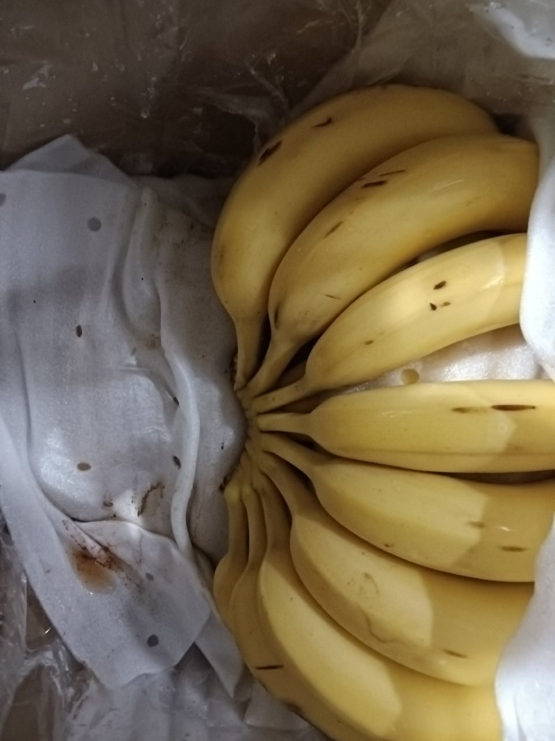 香蕉，质量保证无黑心硬心质量保证