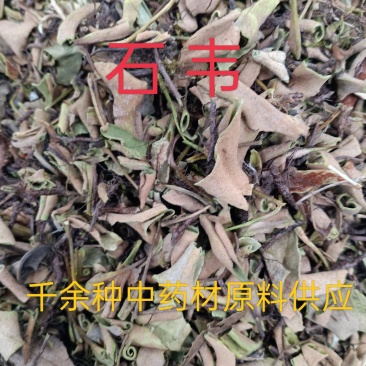 石韦，小叶石韦正品质量保证经营各种中药材欢迎咨询选购