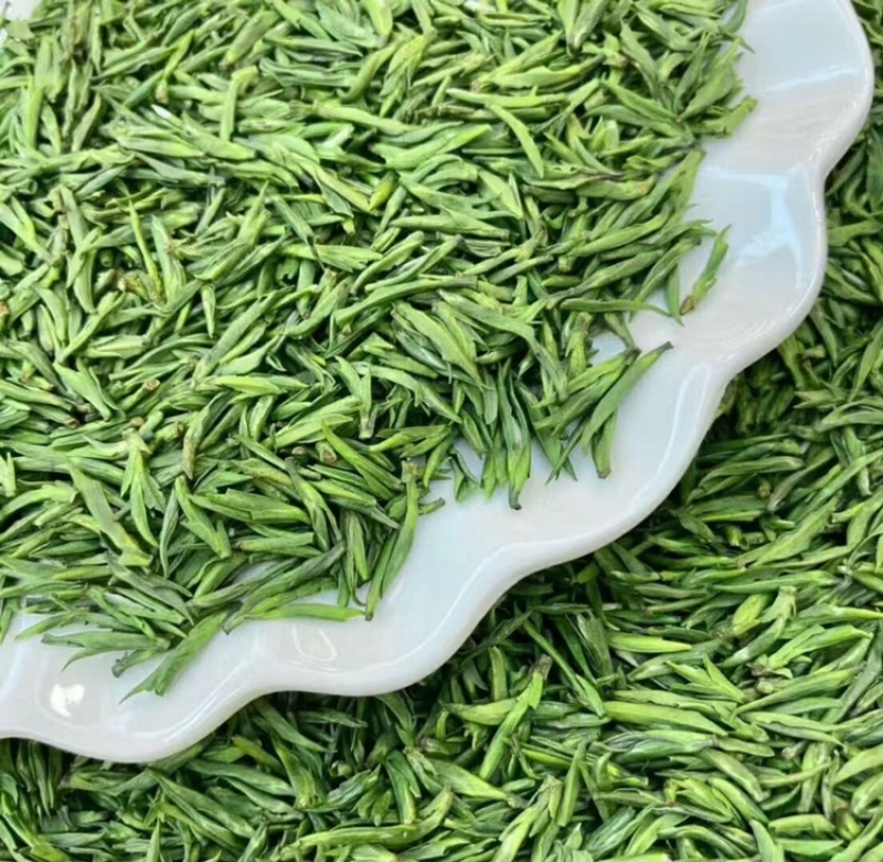 雀舌绿茶2025年新茶明前茶单芽鲜嫩爽口500g茶叶