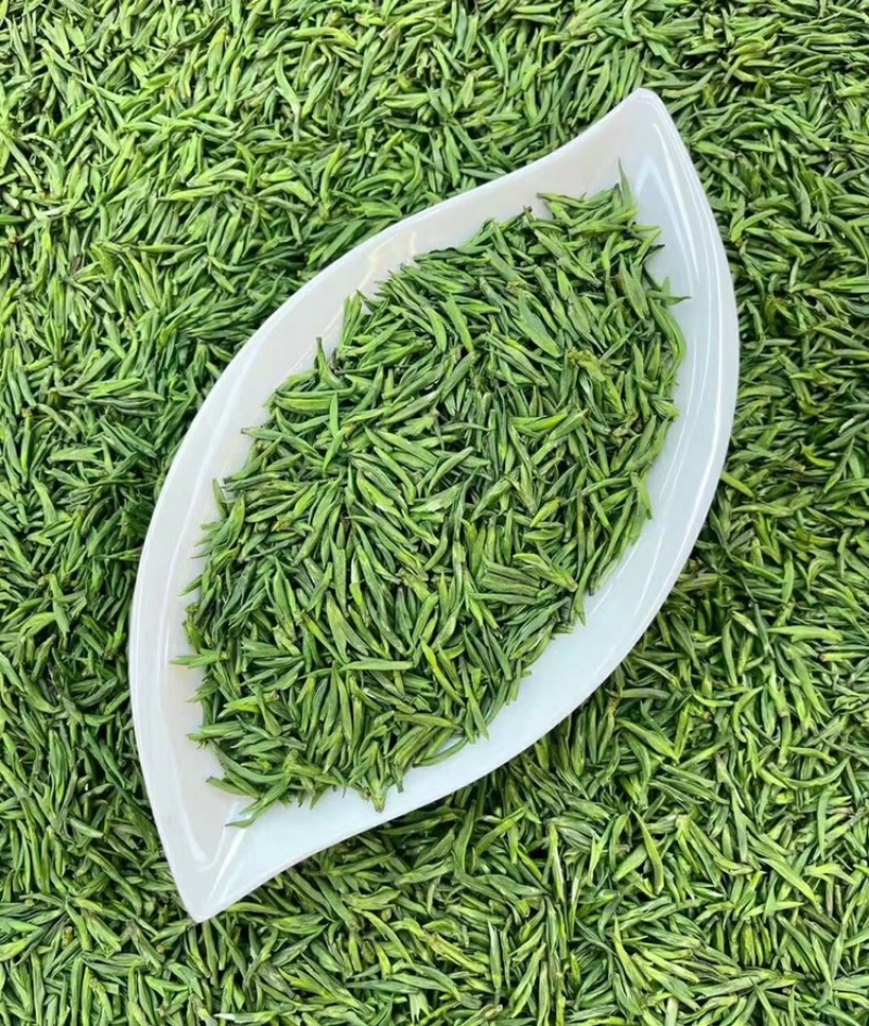 雀舌绿茶2025年新茶明前茶单芽鲜嫩爽口500g茶叶