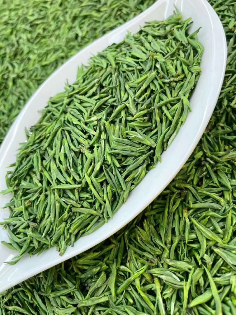 雀舌绿茶2025年新茶明前茶单芽鲜嫩爽口500g茶叶