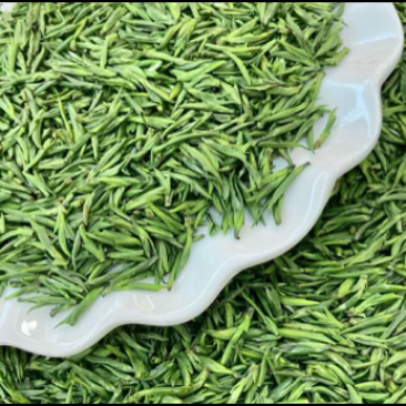 雀舌绿茶2025年新茶明前茶单芽鲜嫩爽口500g茶叶