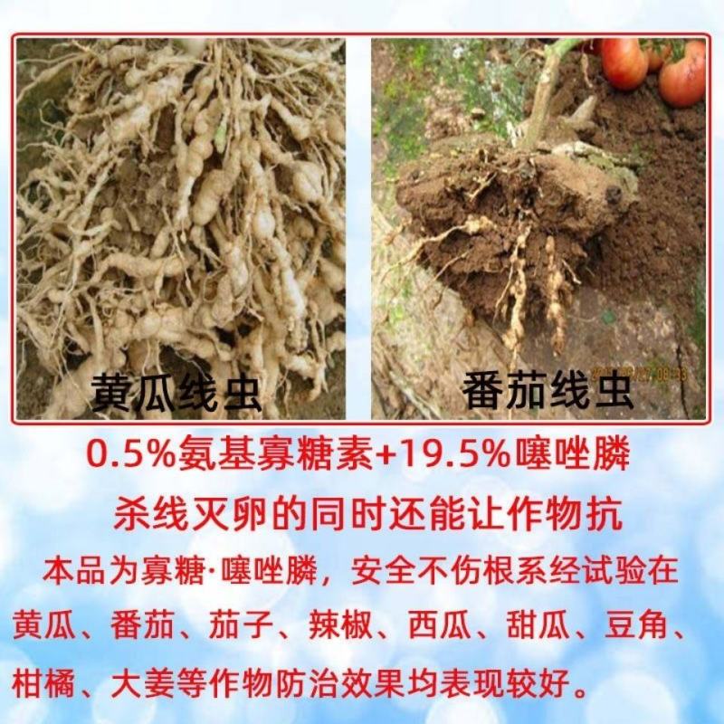 正业无限大地根结线虫专用20%氨基寡糖素噻唑膦农药杀