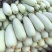 博洋61甜瓜莘县博洋甜瓜基地现摘现发价格便宜