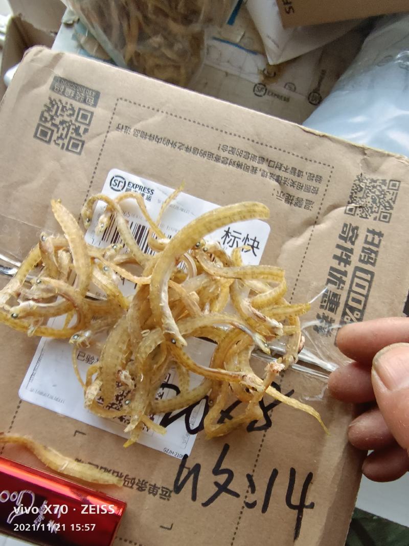凤尾鱼面条鱼银鱼干，食品厂香辣丁香鱼原料大量现货可根据