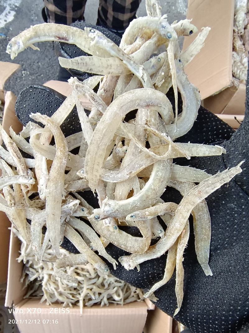 凤尾鱼面条鱼银鱼干，食品厂香辣丁香鱼原料大量现货可根据
