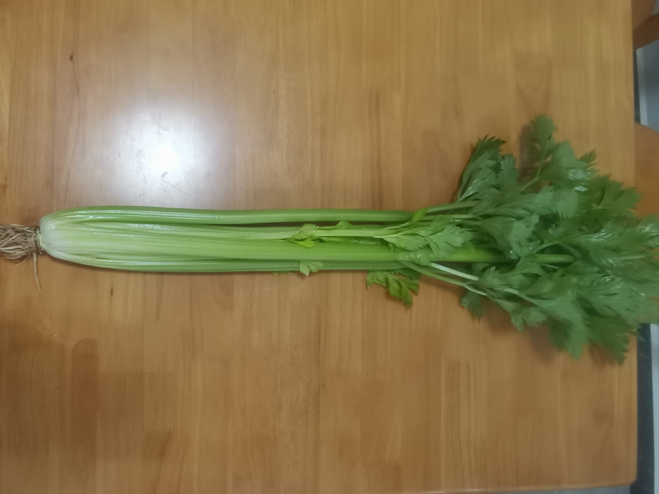 新鲜西芹的特写镜头,展示其清脆的茎部和绿色叶片,放置于浅色木质厨房台面上,自然光照射,突出食材的新鲜度与可食性 西芹特写,茎秆翠绿饱满,叶片鲜嫩,背景为厨房操作台