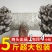 食用菌种菌棒