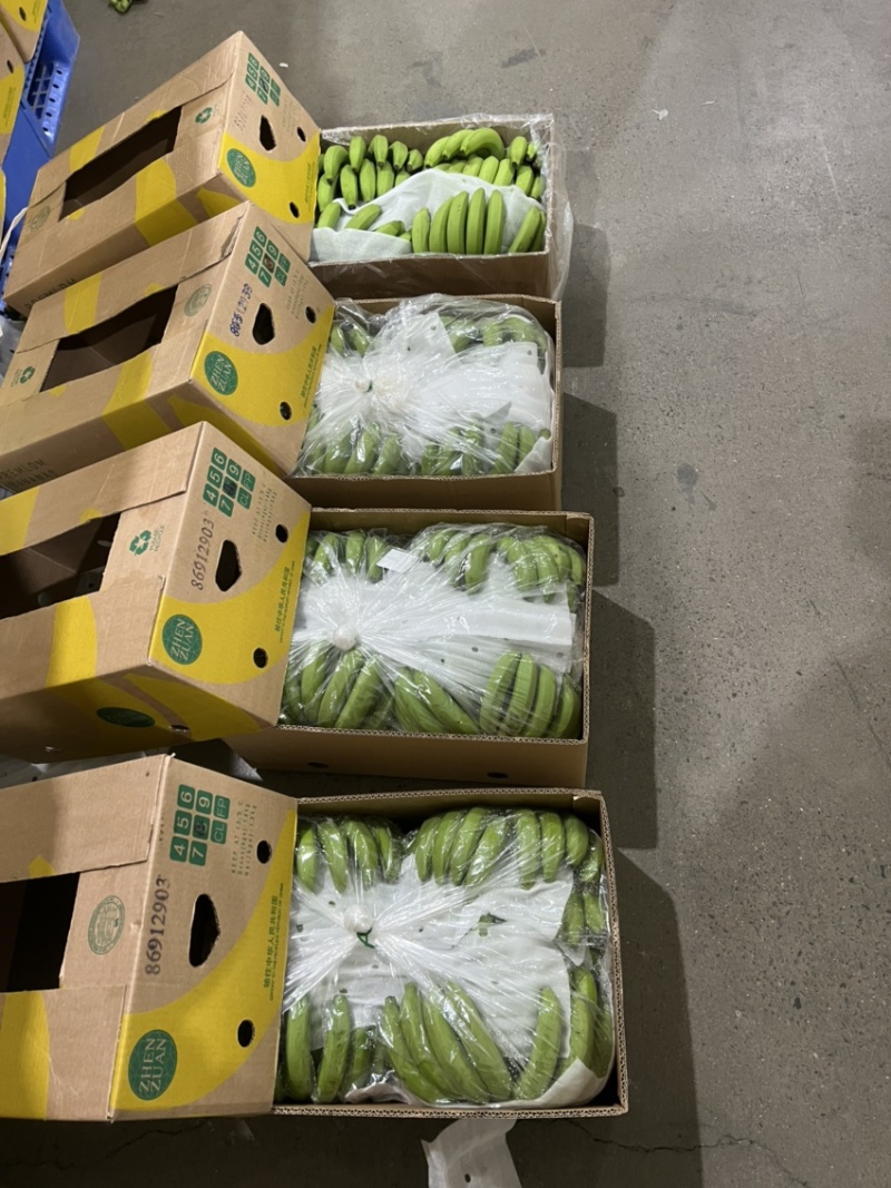生蕉精品7-8-9片，不受寒，黄金蕉，价格实惠，
