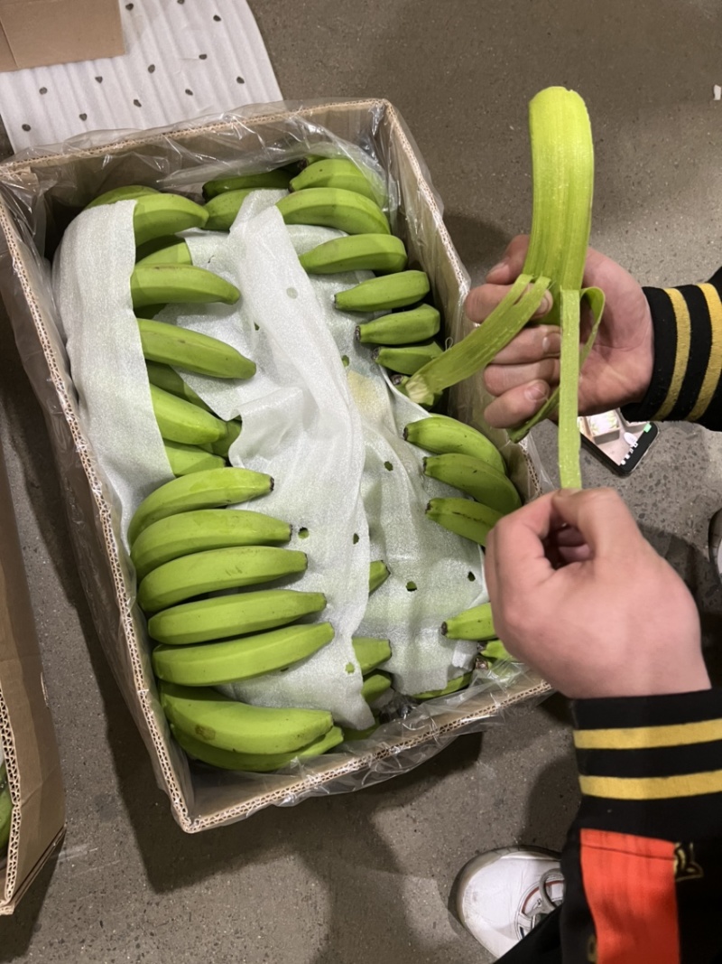 生蕉精品7-8-9片，不受寒，黄金蕉，价格实惠，