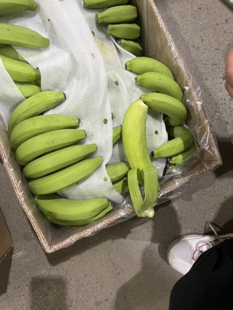 生蕉精品7-8-9片，不受寒，黄金蕉，价格实惠，