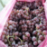（好货）产地直发精品龙眼葡萄品质保证一手货源
