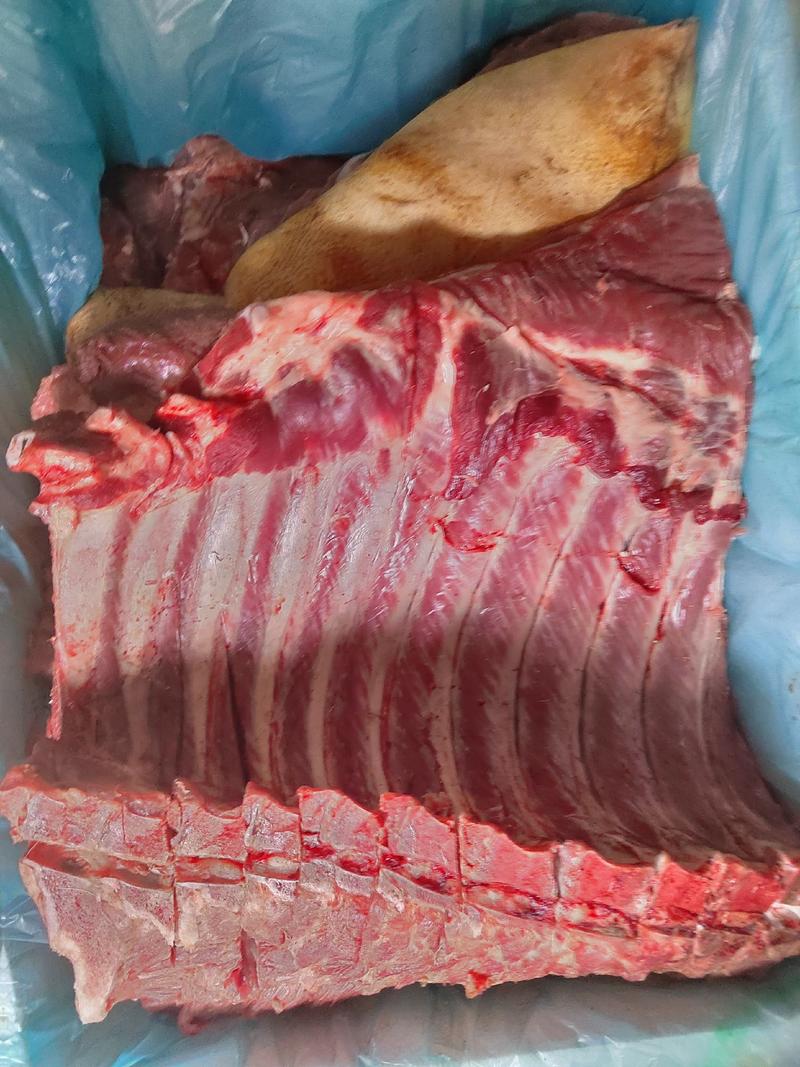 代理电商代发一二代跑山猪肉土猪肉大量批发生鲜
