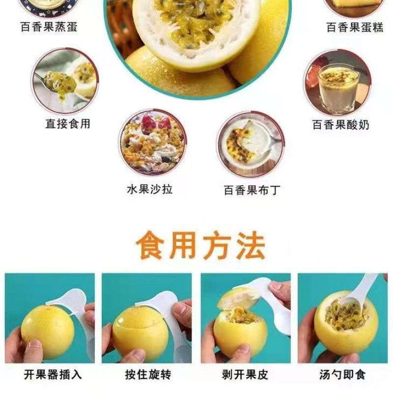 黄金百香果苗特大百香果苗当年结果鸡蛋果苗四季爬藤百香果树