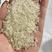 常年稳定供应东北珍珠米，长粒香，珍珠酒米，碎米，白米。