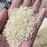 常年稳定供应东北珍珠米，长粒香，珍珠酒米，碎米，白米。