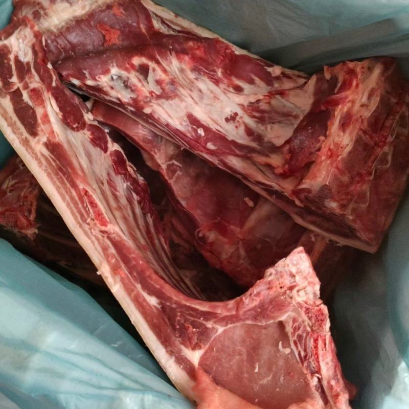 深山放养山猪肉土猪肉批发生鲜店饭店酒楼土特产