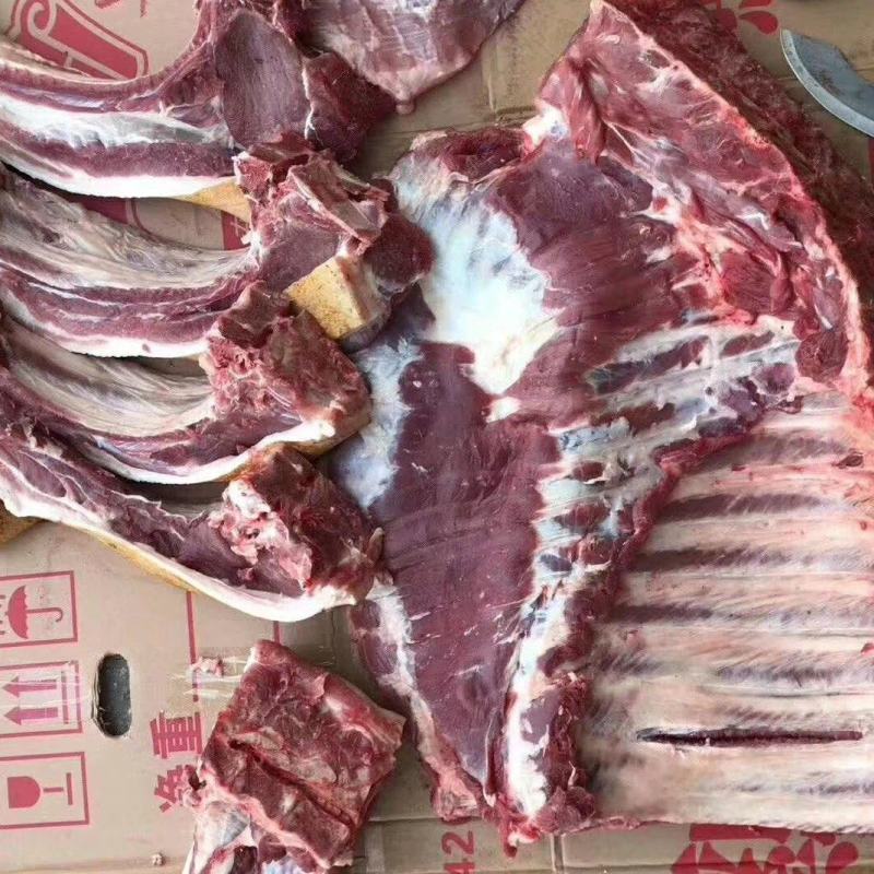 深山放养山猪肉土猪肉批发生鲜店饭店酒楼土特产