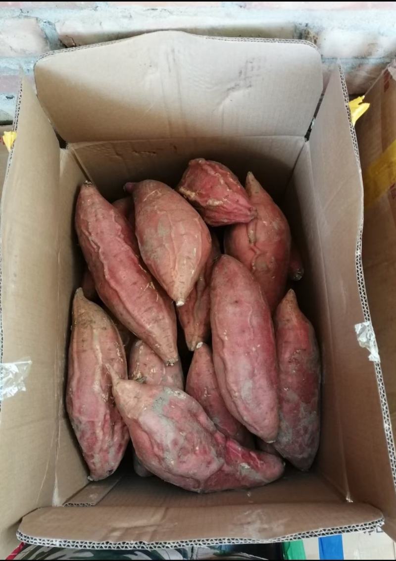 烟薯25蜜薯红薯红心烤薯糖份高流糖无丝软糯香甜9月新薯