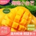 正宗海南小台农芒果大果薄皮甜檽一件代发