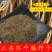 牛膝种子
