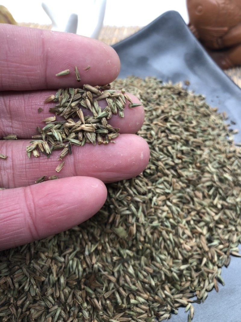 牛膝种子