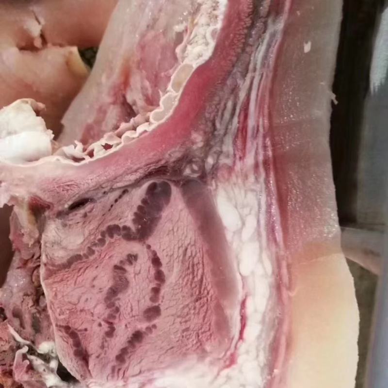 熟牛头肉，源头厂家，资质齐全，全可定制，质量稳定