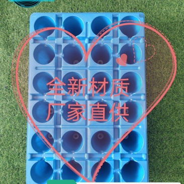 穴盘，草莓穴盘，林木扦插穴盘，适用于草莓育苗，草莓种植，