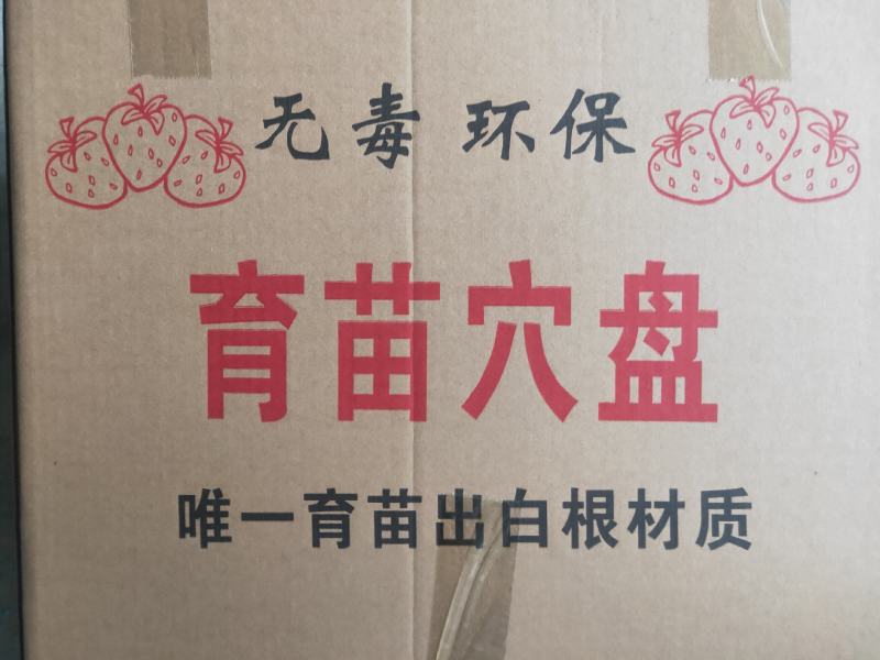 穴盘，草莓穴盘，林木扦插穴盘，适用于草莓育苗，草莓种植，