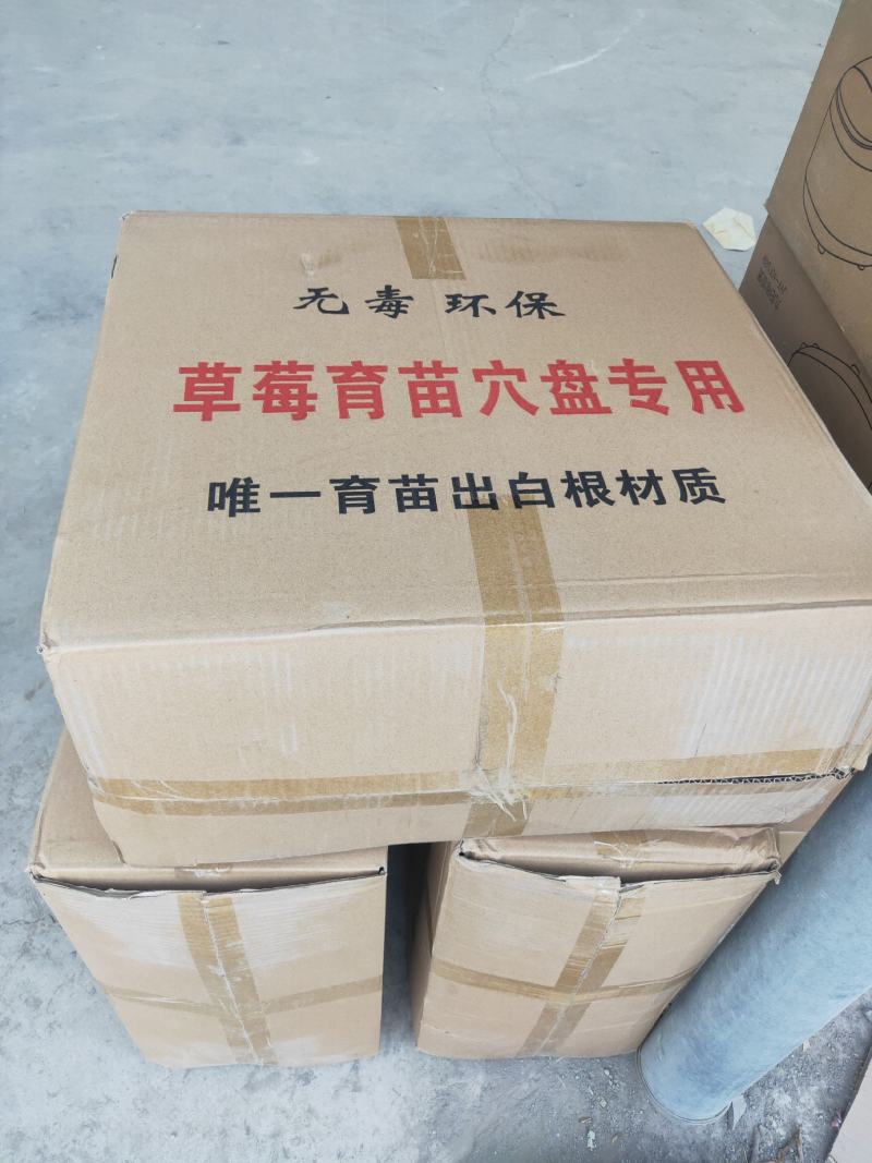 穴盘，草莓穴盘，林木扦插穴盘，适用于草莓育苗，草莓种植，