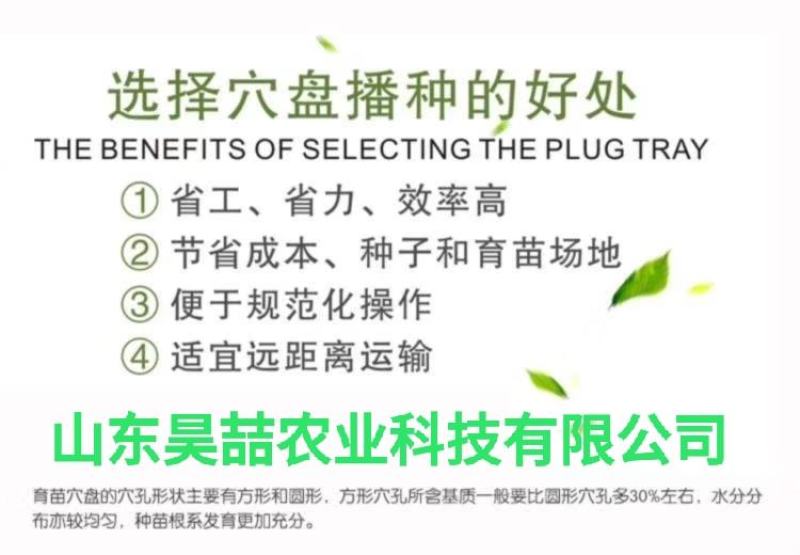 穴盘，草莓穴盘，林木扦插穴盘，适用于草莓育苗，草莓种植，