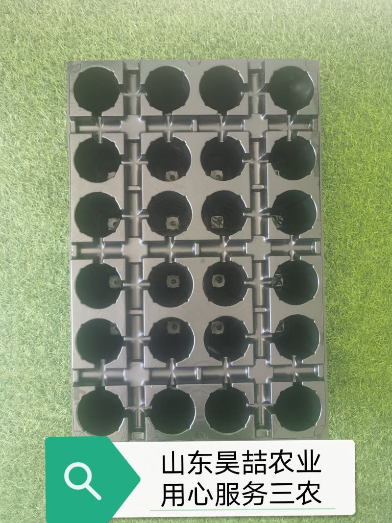 穴盘，草莓穴盘，林木扦插穴盘，适用于草莓育苗，草莓种植，