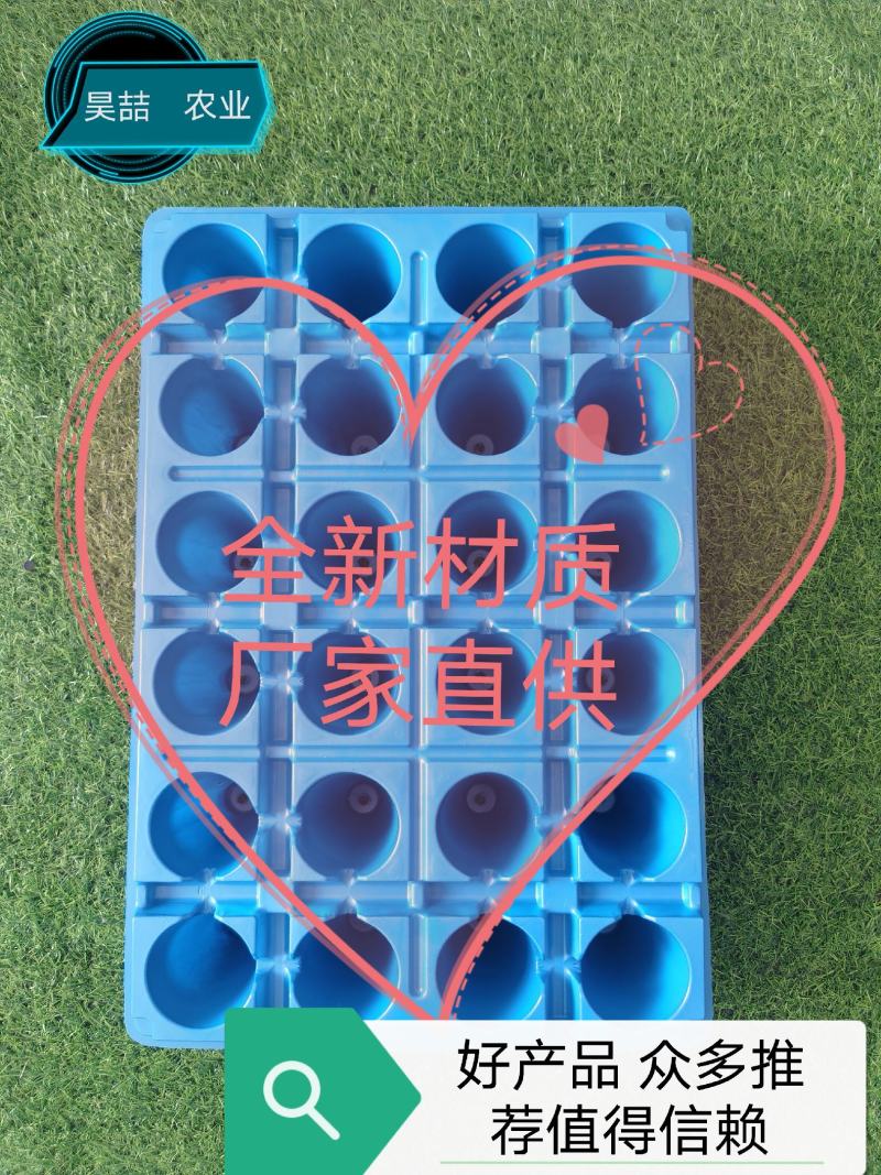 穴盘，草莓穴盘，林木扦插穴盘，适用于草莓育苗，草莓种植，