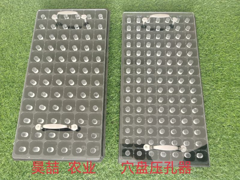穴盘压孔器，压孔快方便省事生人工，播种前必备工具