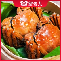 阳澄湖大闸蟹，可一件代发，位置昆山巴城镇