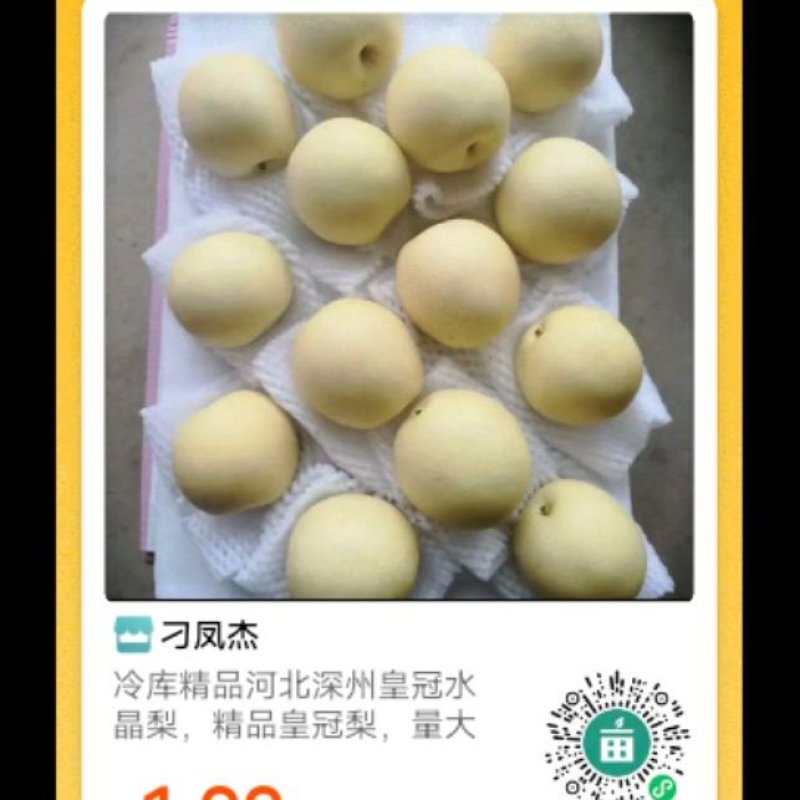 42皇冠梨，河北深州皇冠梨，大量有货。水晶梨