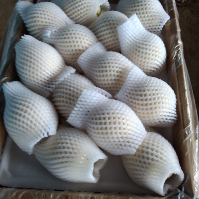 42皇冠梨，河北深州皇冠梨，大量有货。水晶梨