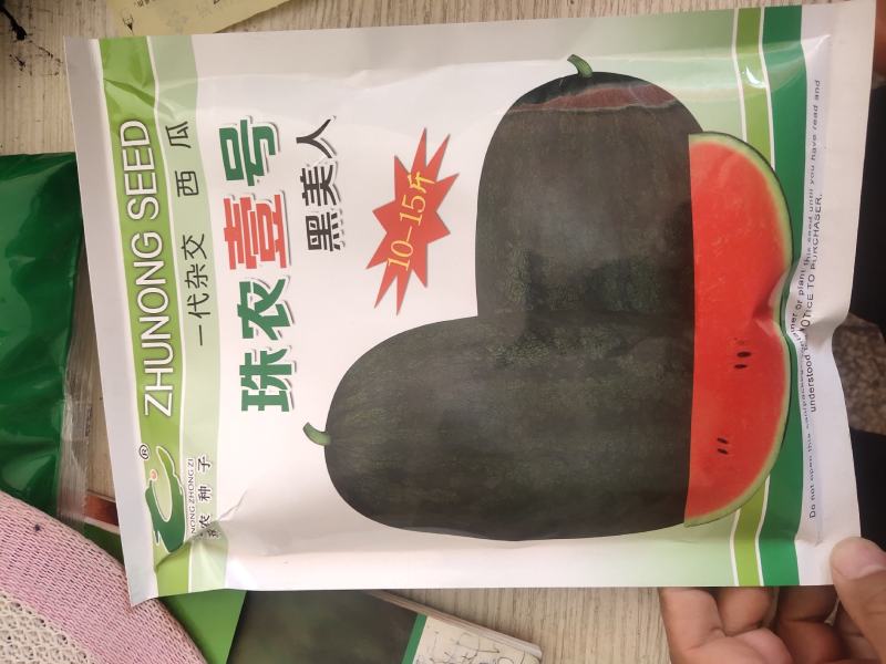 新超人黑美人西瓜种子~大果商品性强14度抗病性强薄皮