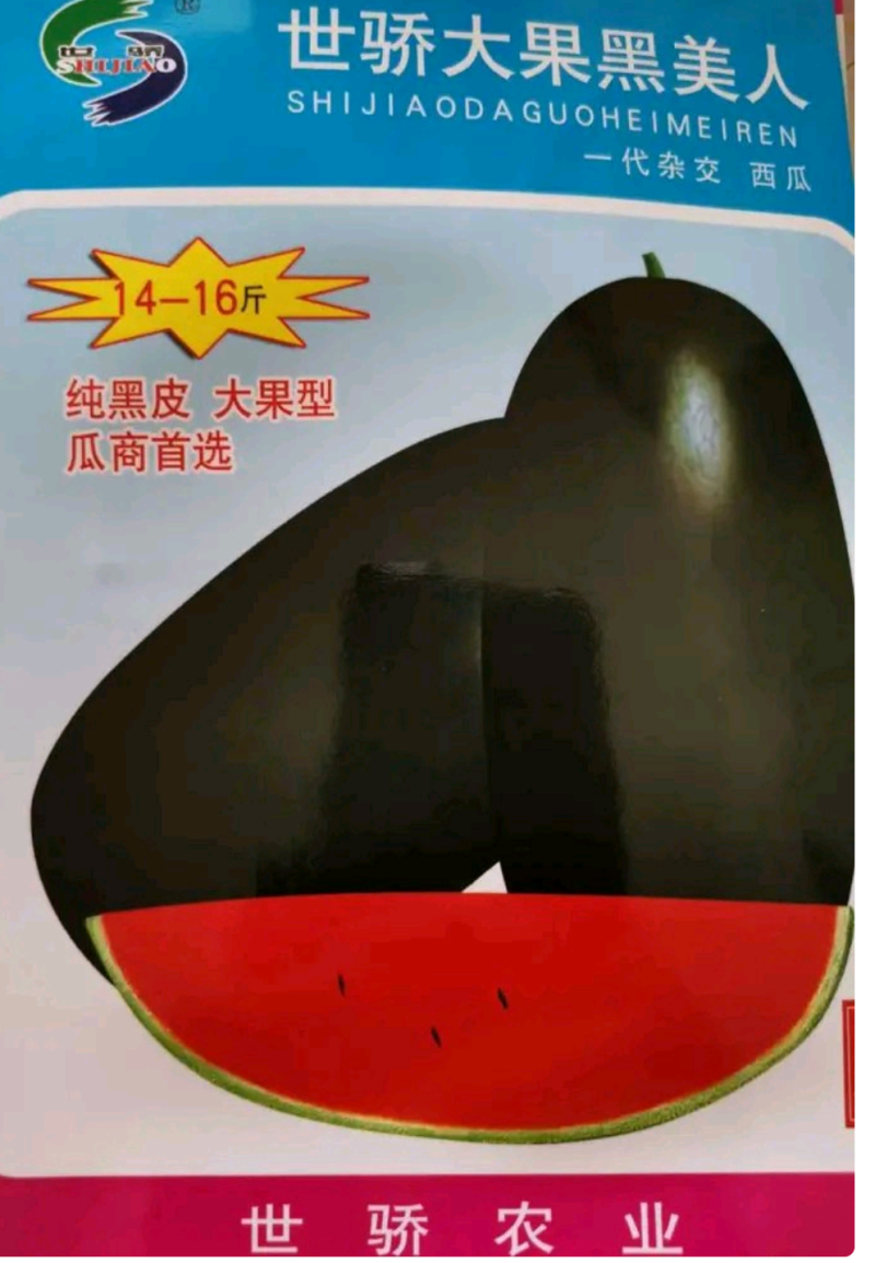 新超人黑美人西瓜种子~大果商品性强14度抗病性强薄皮