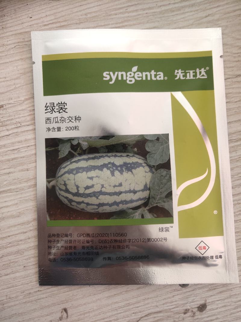 新超人黑美人西瓜种子~大果商品性强14度抗病性强薄皮