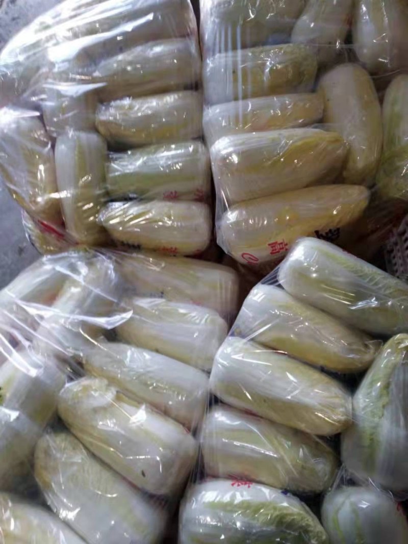 精品娃娃菜，基地新鲜采摘，保质保量发货，欢迎下单咨询