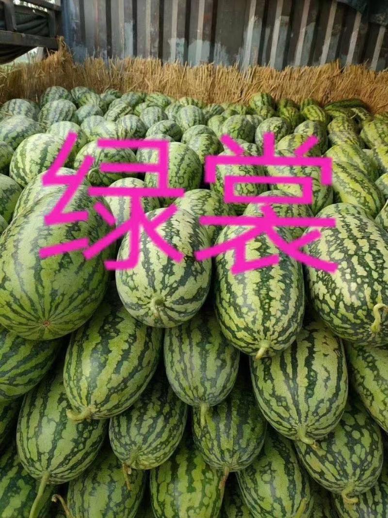 绿裳西瓜种子~进口原种一代杂交品种大果耐湿热综合抗性强