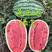 绿裳西瓜种子~进口原种一代杂交品种大果耐湿热综合抗性强