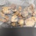 蟹壳方海水洗货干净螃蟹粉蟹壳螃蟹壳螃蟹骨
