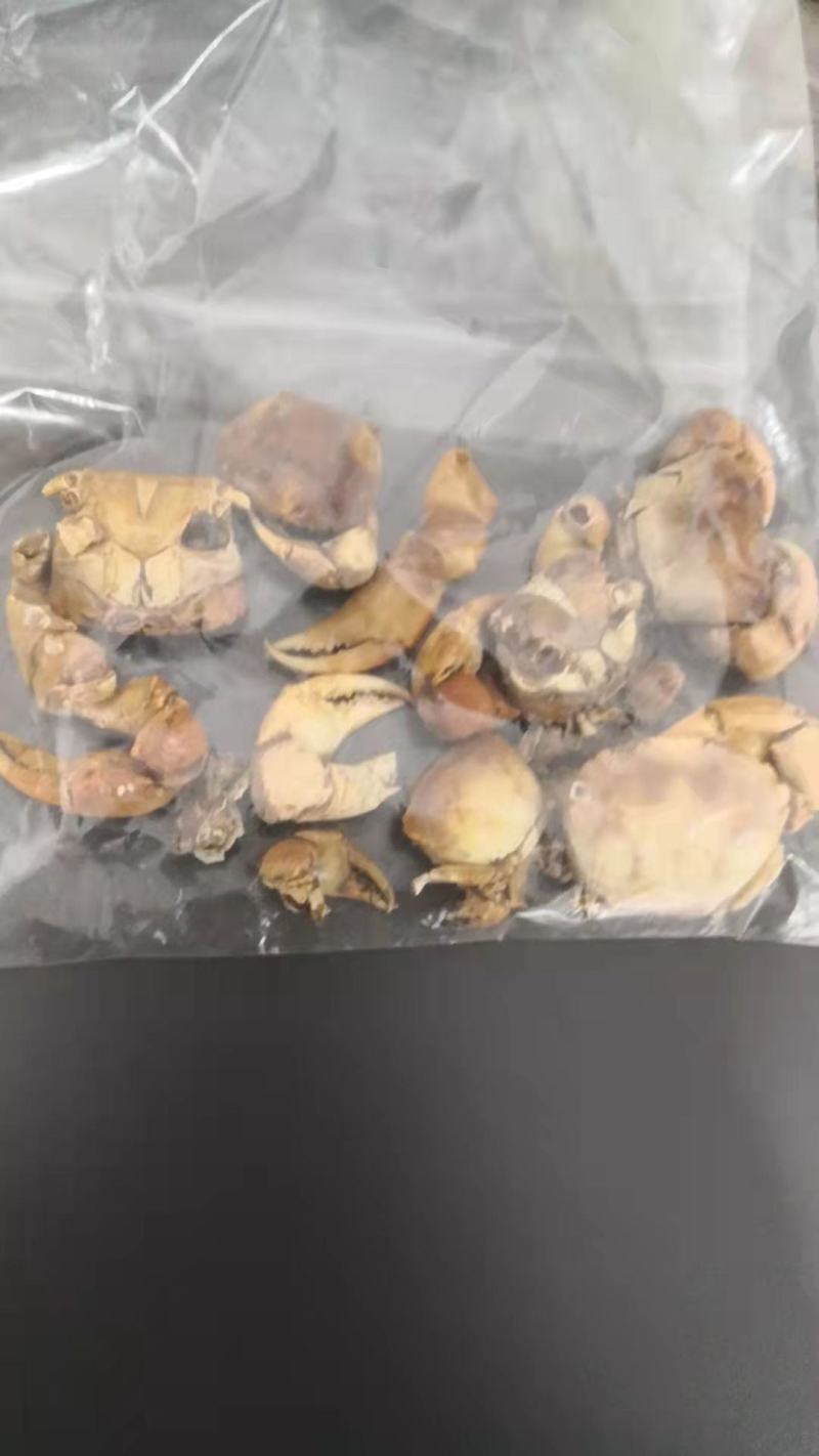 蟹壳方海水洗货干净螃蟹粉蟹壳螃蟹壳螃蟹骨