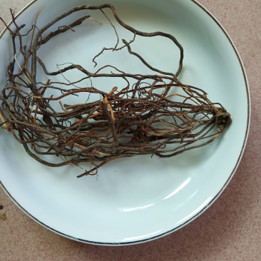 威灵仙，纯野生货品